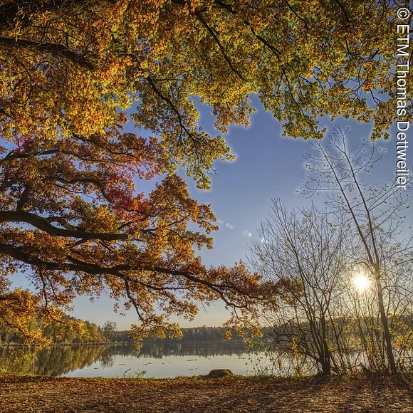 Dechsendorfer Weiher im Herbst Dechsendorfer Weiher im Herbst