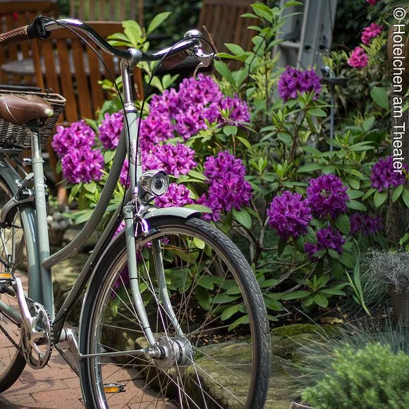 Fahrrad - Hotelchen am Theater