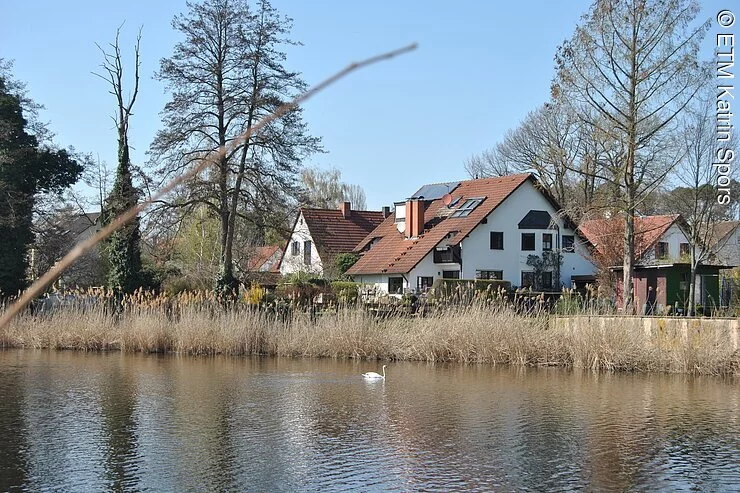 Weiher mit Schwan