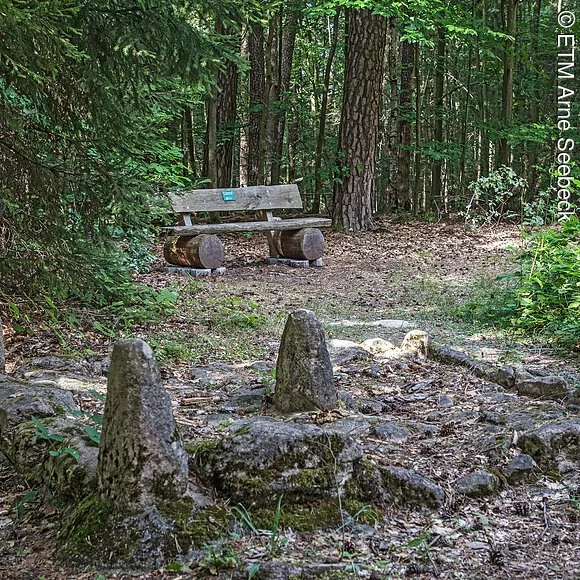 Kosbacher Altar im Wald bei Kosbach