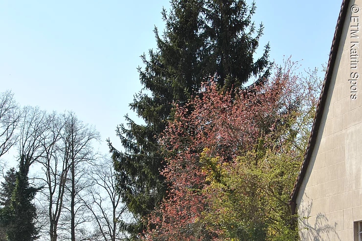 Landschaftsausschnitt an der Klostermühle