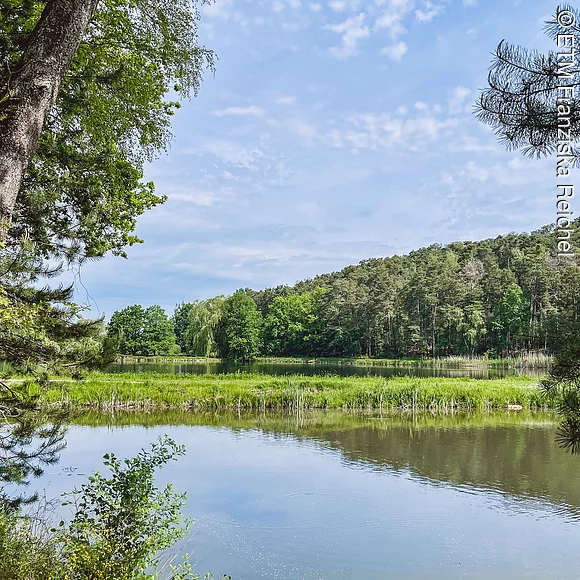 Zwei Seen beim Weihergebiet bei Dechsendorf