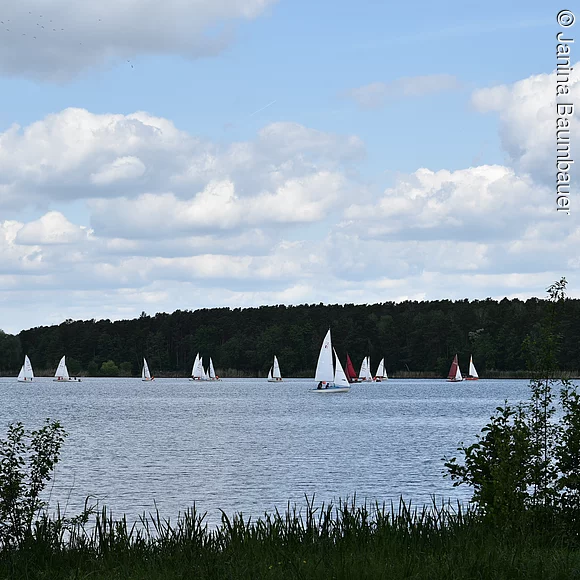 Dechsendorfer Weiher