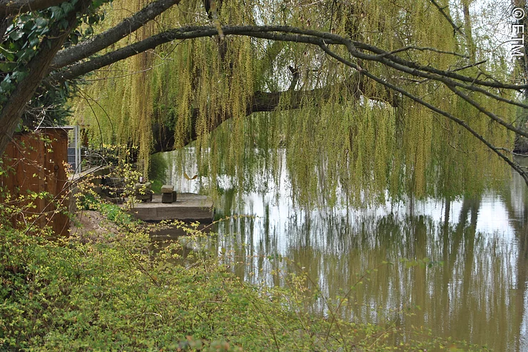 romantischer Blick an der Regnitz
