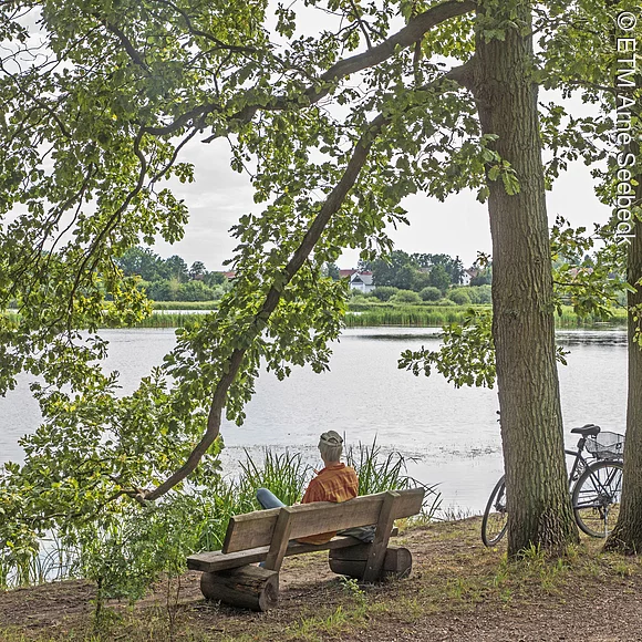 Sitzbank am Welles-Weiher in Kosbach