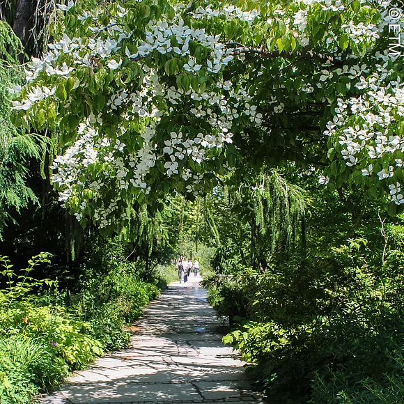 Botanischer Garten Erlangen