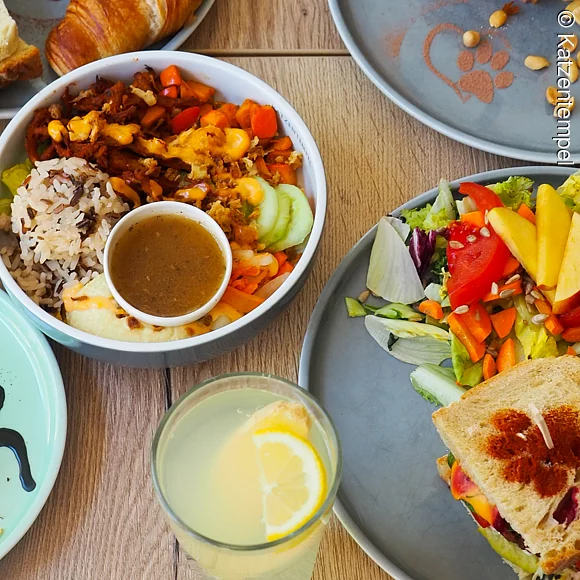 Verschiedene Gerichte auf bunten Tellern