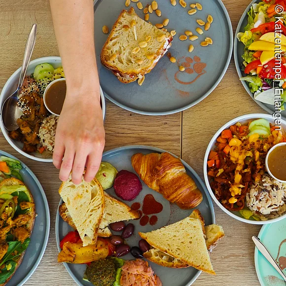 Blick von oben auf verschiedene Gerichte