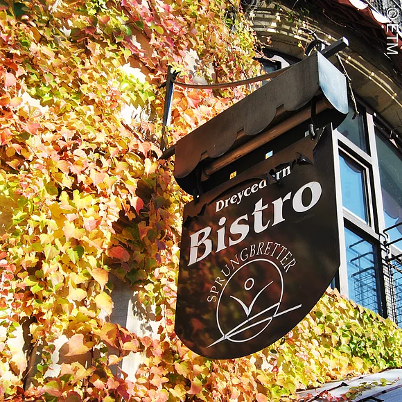 Verein Dreycedern e.V.