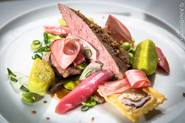 ALter Brunnen Hauptgang