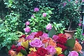 Blumenstrauß aus Rosen im Garten der Altmanns Stube