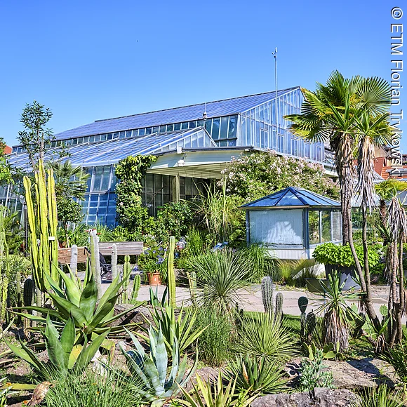 Gewächshäuser im Botanischen Garten