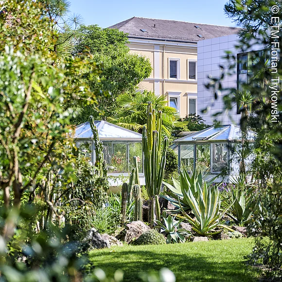 Blick in den Botanischen Garten Erlangen