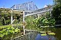 Teiche im Botanischen Garten Erlangen