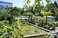 Teiche im Botanischen Garten