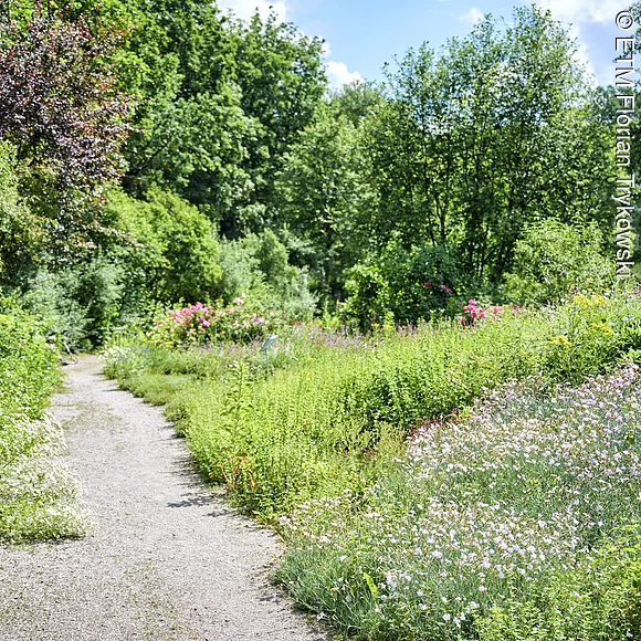 Aromagarten Erlangen Parkanlagen beim Aromagarten Erlangen