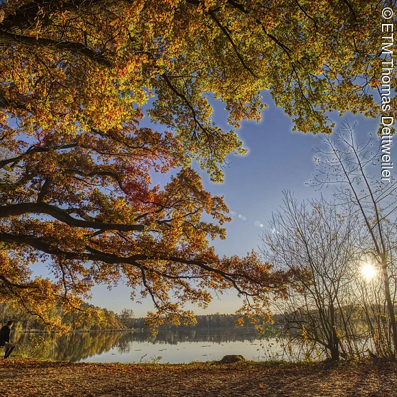 Dechsendorfer Weiher im Herbst Dechsendorfer Weiher im Herbst