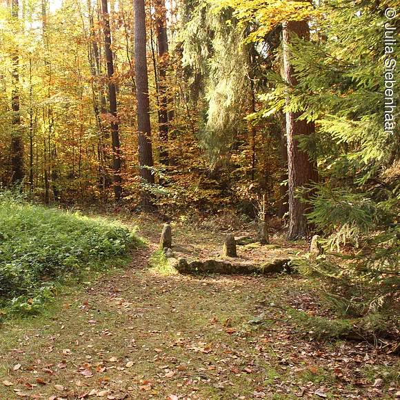 Sonnenlicht am Kosbacher Altar