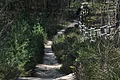 hinterer Rundweg um den Wildpferdepark
