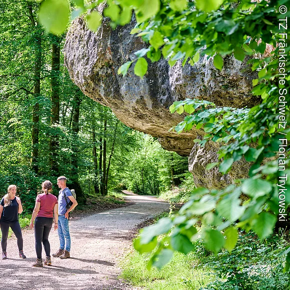 Vier Wanderer kommen in einem Waldstück an einem riesigen Felsen vorbei und bleiben dort für eine kurze Rast stehen und unterhalten sich.