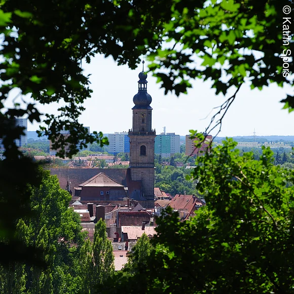 Blick vom Burgberg im Sommer