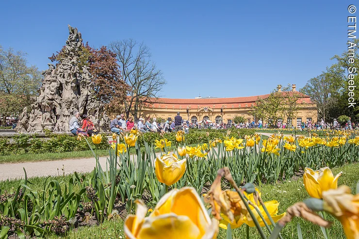 Blühende Blumen vor der Erlanger Orangerie