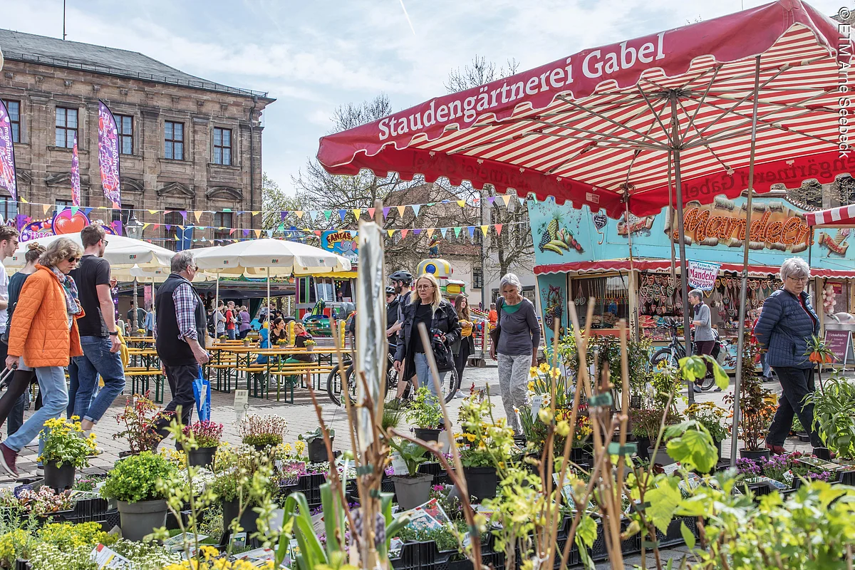 View of the flowers at the Erlangen Spring Festival