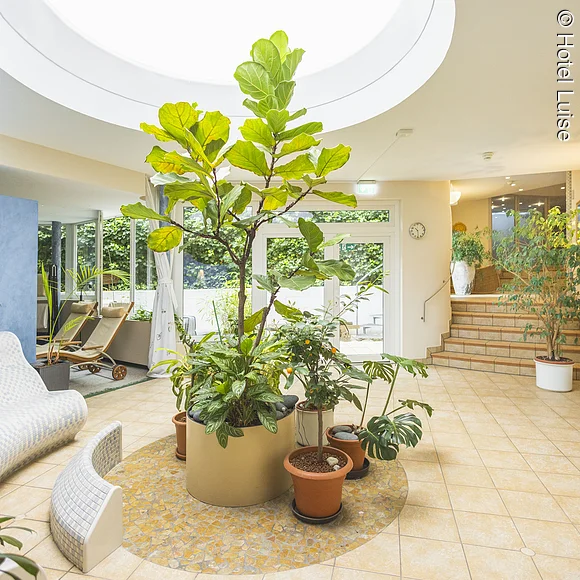 Entspannungsbereich mit viel Grün und Sitzgelegenheiten im Hotel Luise