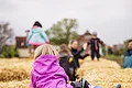 Strohlabyrinth bei Huckepack Erlebnisernte Kind klettert auf Heuballen
