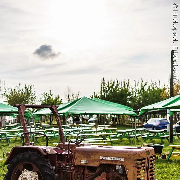 Traktor bei Huckepack Erlebnisernte Traktor auf einer Freizeitwiese